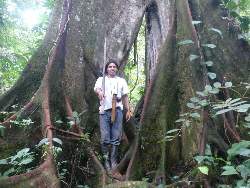 Yasuni - Huaorani  - copyright Save America's Forests